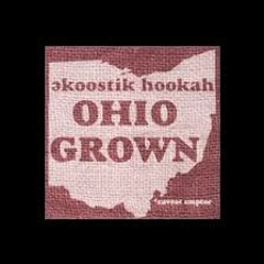 Ekoostik Hookah - Daffodils in Detroit 5.2.2002