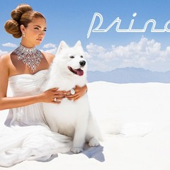 Princ3 - THE BOOM BOOM BOX - (Ummet Ozcan) - (OUTHERE BROTHERS) RIX