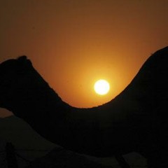 Dastan Ensemble - Tansife Shame Jan