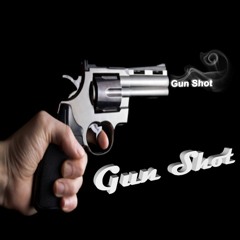 Fox - Gun Shot (Original) [Free Download!]