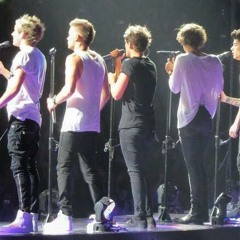 One Direction - Rock Me Cover