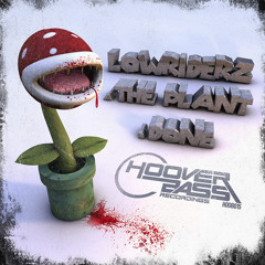 Lowriderz - The Plant / Done ( HOOB015 )