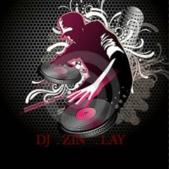 သိပ္ခ်စ္တယ္ အရမ္းမုန္းတယ္ (ခ်မ္းခ်မ္း )  DJ- REMIX   (DJ  .ZIN.LAY )