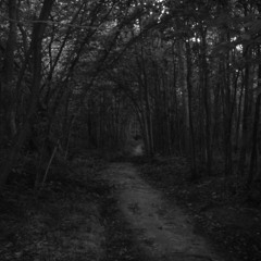 Path