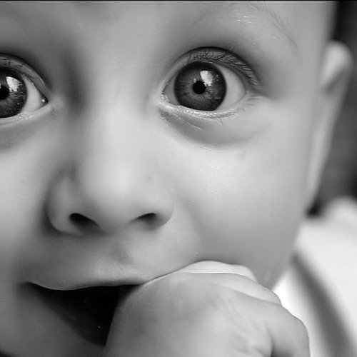 Li tourne-Musique 2013