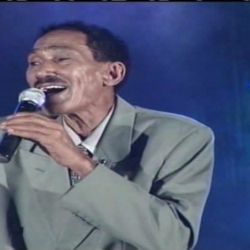 حقيبة نميري