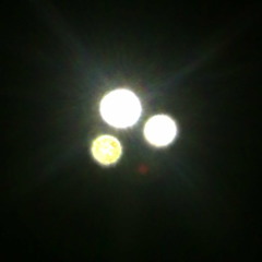 Signatured For The White Redshank