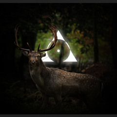 Heffner & Klein live @ Stadtpark Nacht 11.10.2013 - Grelle Forelle, Vienna, AT