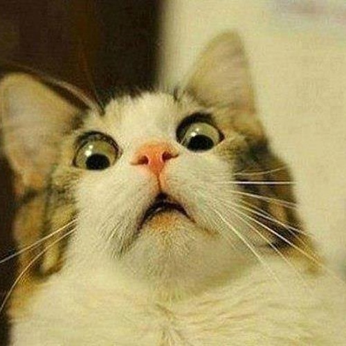 Ozdorp & DenDB's - Walk In The Park