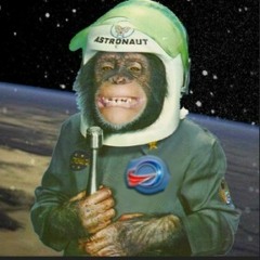 First Animals in Space - The Disco-Rocket Pioneers