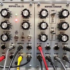 E350 Morphing Terrarium, E355 Morphing Dual LFO