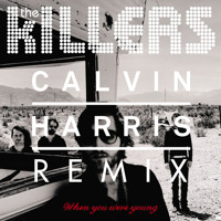 The Killers - When You Were Young (Calvin Harris Remix)