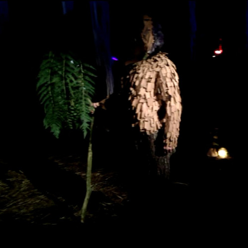 The Ent - Dragonflight Mix 2013