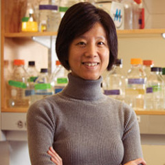 NeuroTalk Ep11YingxiLin