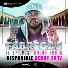 Mes Pleurs Metis Noir Fabregas [D-Rody]