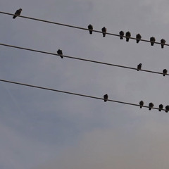 The First Time She Fell