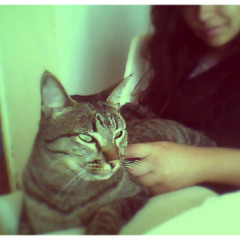 The First Five Times