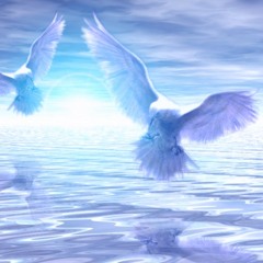 Dedication to my husband (Women ONLY!!!)