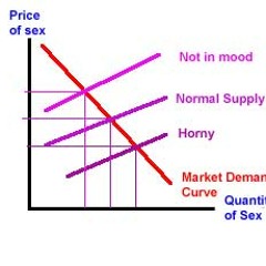 Economics Of Sexual Interest