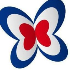 its too late the butterfly collective