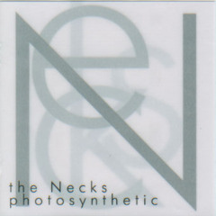 01 THE NECKS.....photosynthetic
