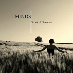 Secret of Elements - The Beginning and the End