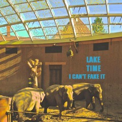 I Can't Fake It