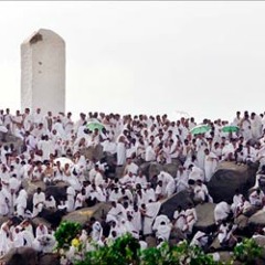 دعاء الإمام الحسين (ع) يوم عرفة - الحاج حسين غريب