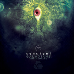 Sensient - Galaxians (The Remixes)