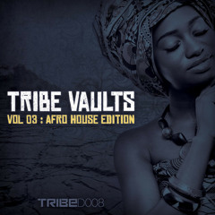 Irfan Rainy & Baba Israel  - Freedom Music (Little D . & Stamy Remix)