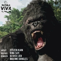 CITIZEN KAIN - King Size (Original Mix) / Natura Viva