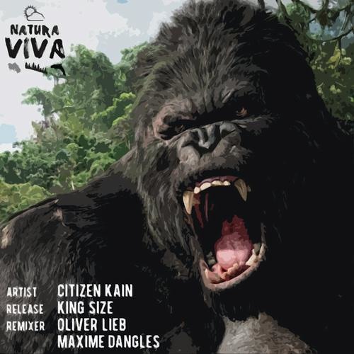 CITIZEN KAIN - King Size (Original Mix) / Natura Viva