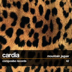 Cardia 'Mountain Jaguar'
