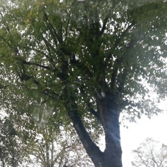 Guitar Simran in Wolverhampton 11/10/13