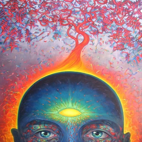 Mind's Journey