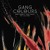 Artwork for Gang Colours - Why Didn't You Call? feat. Lulu James (Dave Aju Remix)