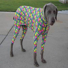 RoboTronix - Lock Off The Rave