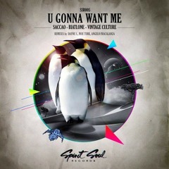 Saccao, Biatone, Vintage Culture - You gonna Want me (Angelo Fracalanza Rmx)**OUT NOW ON BEATPORT**