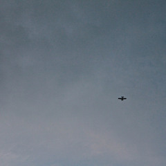 Betrayal of the Lark