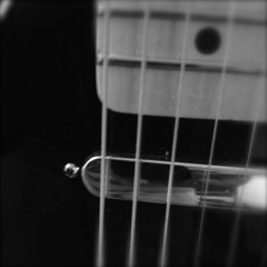 Did You See The Sunrise?