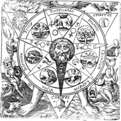 A rosa trismegista, aberta ao mundo