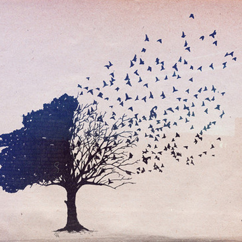 Oh, Gravity. I'm Speechless. (Demo)