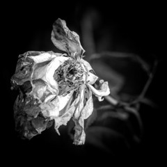 Amando a Ciegas - plusvalia lirical - producido por j-scene