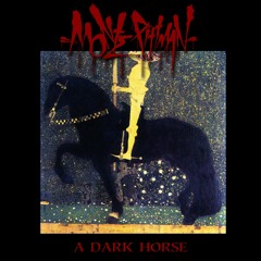 "A Dark Horse" - Monte Pittman