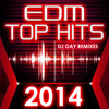 Nelly - Hey Porsche (EDM 2014 Remix) Free Download
