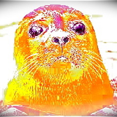 October seal sessions mix (free download)