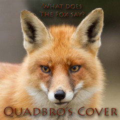 What Does The Fox Say (Quadbro's Instrumental Cover)