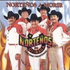 Cuando Se Aman Dos = Los Norteñitos De Ojinaga