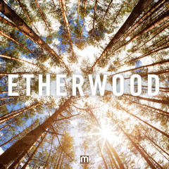 Etherwood - Begin By Letting Go