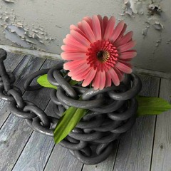 . اسامة همداني♬ ♬ دعيني